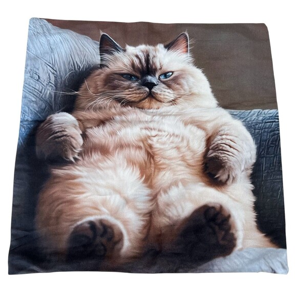 Himalayan Fat Cat Square Cotton Blend Pillow Cover 17x17 Inch Cat Pillow Case - Picture 6 of 6
